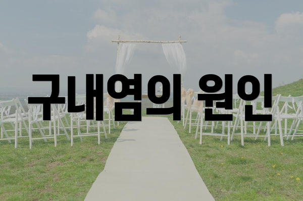 구내염의 원인