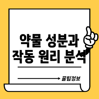 약물 성분과 작동 원리 분석