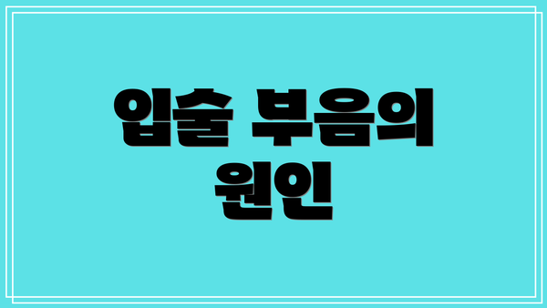 입술 부음의 원인