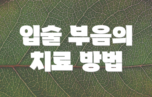 입술 부음의 치료 방법
