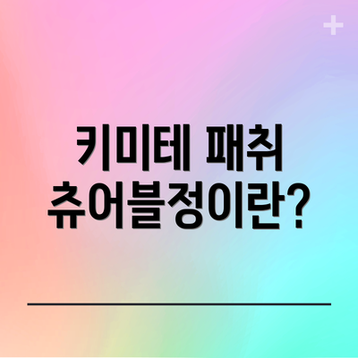 키미테 패취 츄어블정이란?