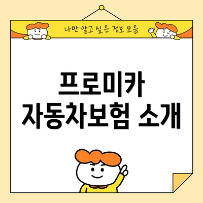 프로미카 자동차보험 소개