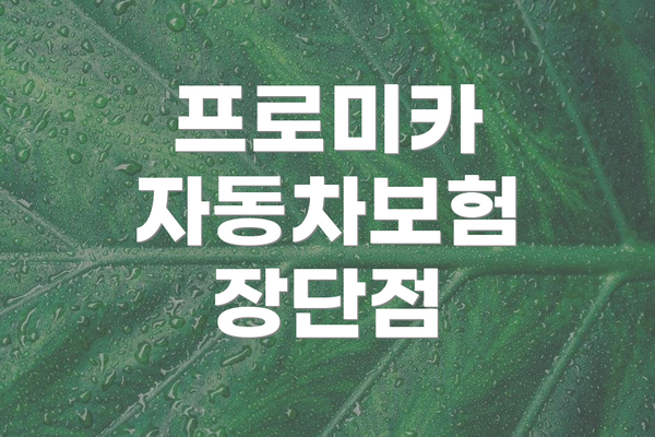 프로미카 자동차보험 장단점