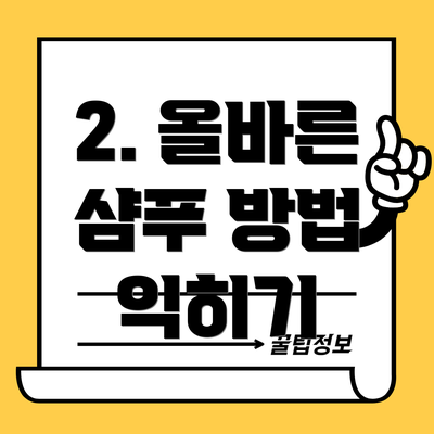 2. 올바른 샴푸 방법 익히기