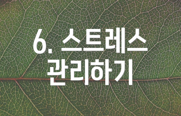 6. 스트레스 관리하기