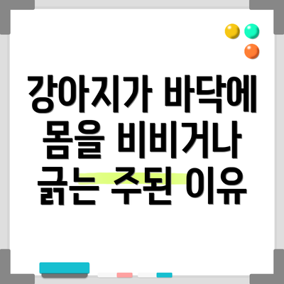 강아지가 바닥에 몸을 비비거나 긁는 주된 이유