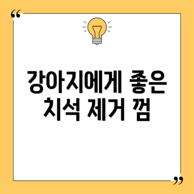강아지에게 좋은 치석 제거 껌