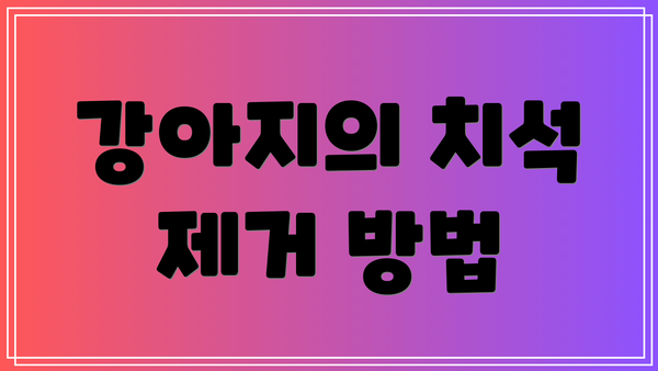강아지의 치석 제거 방법