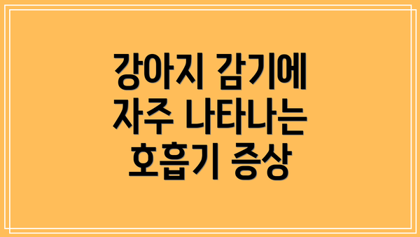 강아지 감기에 자주 나타나는 호흡기 증상