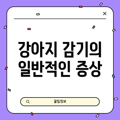 강아지 감기의 일반적인 증상