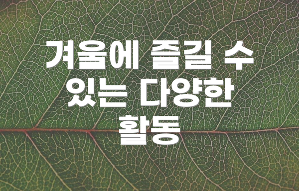 겨울에 즐길 수 있는 다양한 활동