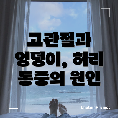 고관절과 엉덩이, 허리 통증의 원인