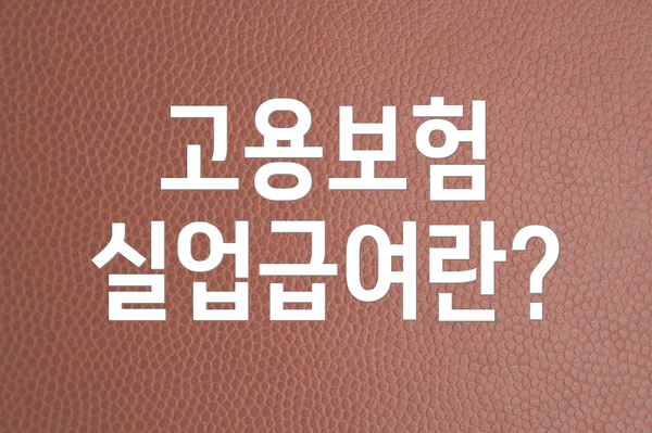 고용보험 실업급여란?