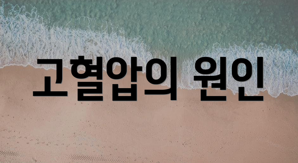 고혈압의 원인