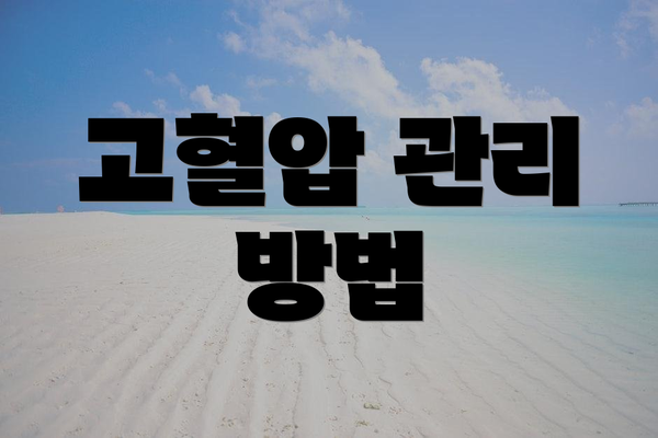 고혈압 관리 방법