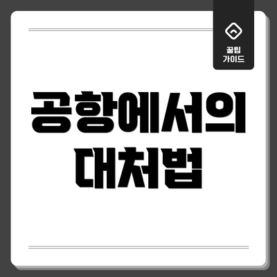 공항에서의 대처법