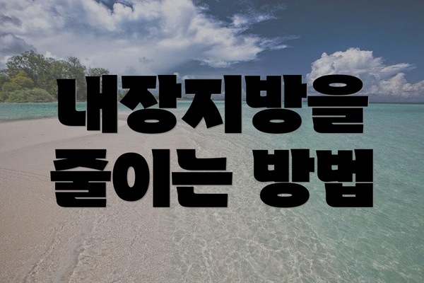 내장지방을 줄이는 방법