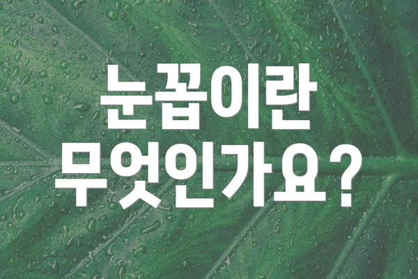 눈꼽이란 무엇인가요?