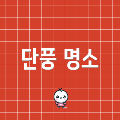 단풍 명소