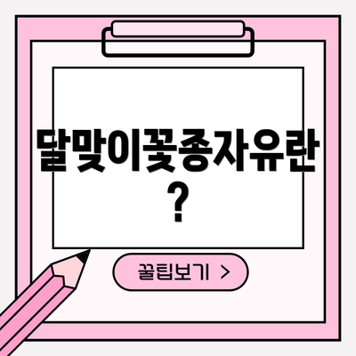 달맞이꽃종자유란?