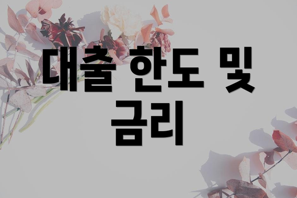 대출 한도 및 금리