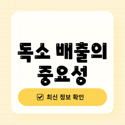독소 배출의 중요성