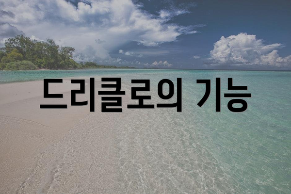 드리클로의 기능