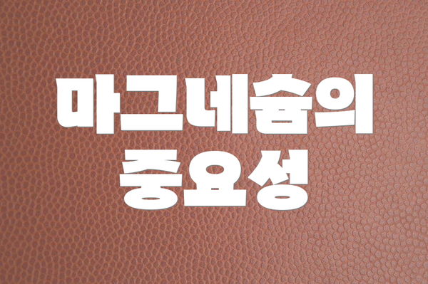 마그네슘의 중요성