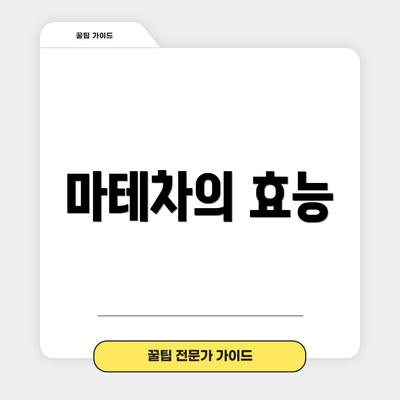 마테차의 효능