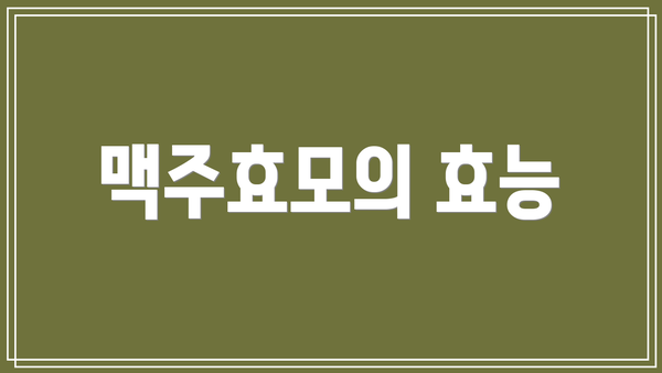 맥주효모의 효능