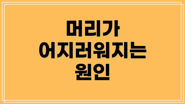 머리가 어지러워지는 원인