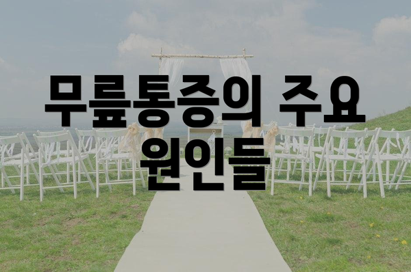 무릎통증의 주요 원인들