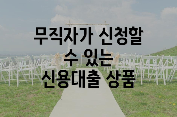 무직자가 신청할 수 있는 신용대출 상품