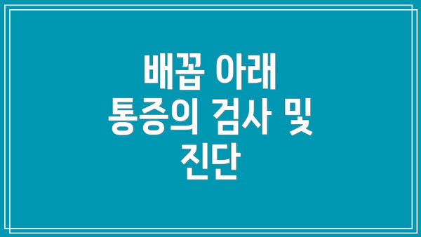 배꼽 아래 통증의 검사 및 진단