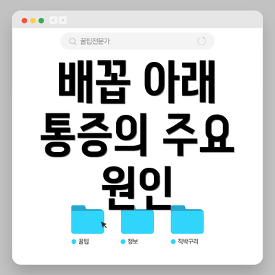 배꼽 아래 통증의 주요 원인