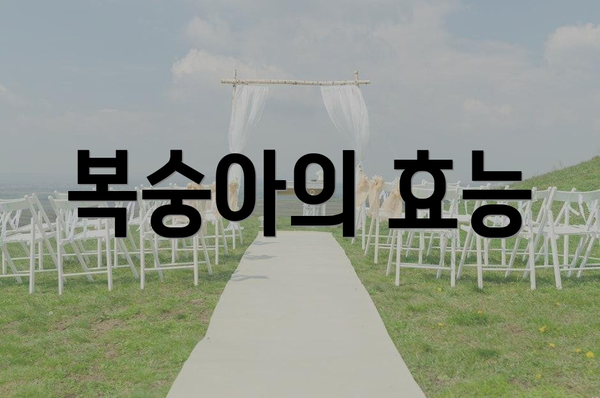 복숭아의 효능