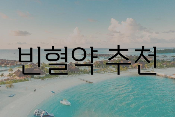 빈혈약 추천