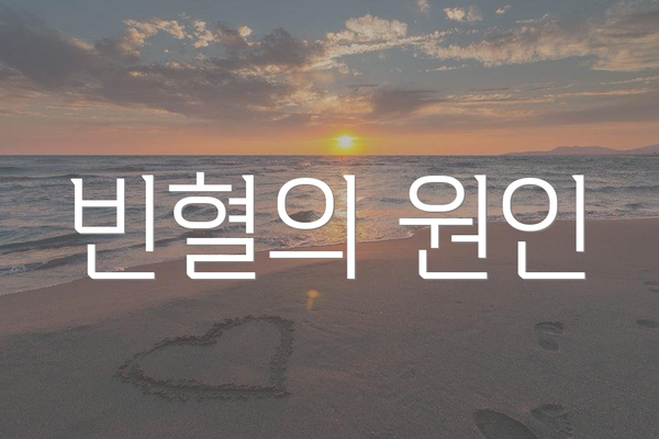 빈혈의 원인