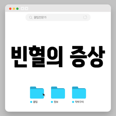 빈혈의 증상