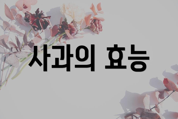 사과의 효능