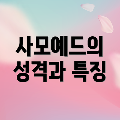 사모예드의 성격과 특징