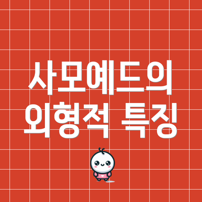 사모예드의 외형적 특징