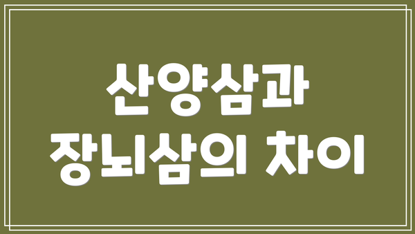 산양삼과 장뇌삼의 차이