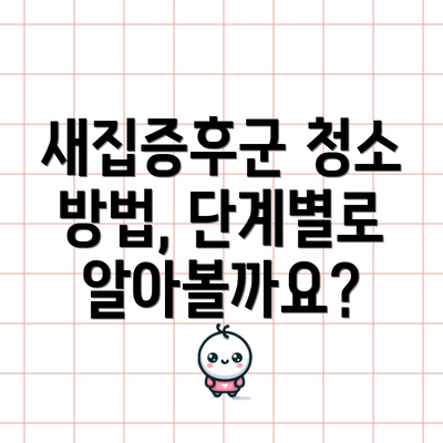 새집증후군 청소 방법, 단계별로 알아볼까요?