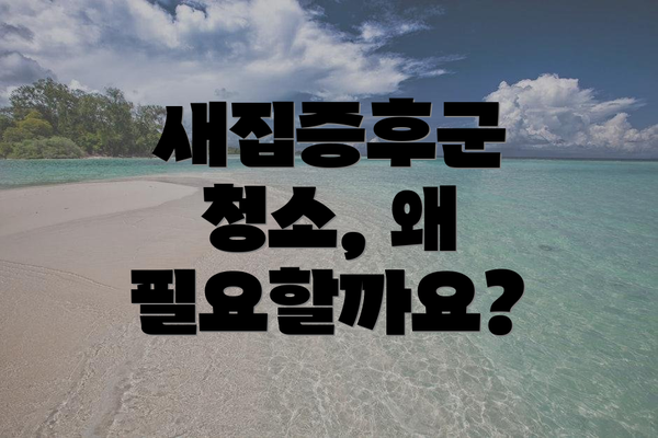 새집증후군 청소, 왜 필요할까요?