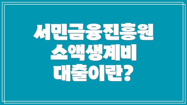 서민금융진흥원 소액생계비 대출이란?