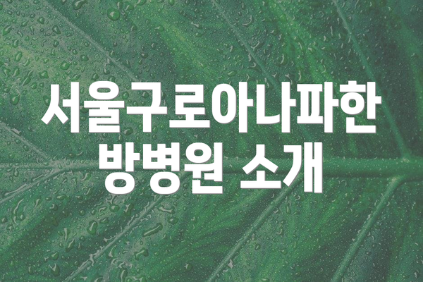 서울구로아나파한방병원 소개