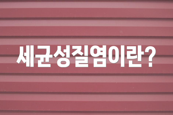 세균성질염이란?