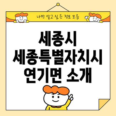 세종시 세종특별자치시 연기면 소개