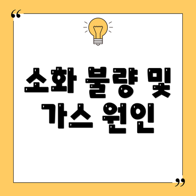 소화 불량 및 가스 원인